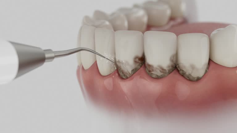 Reliable Dental contractor in Wesley Chapel, NC by Dentist Open Now
